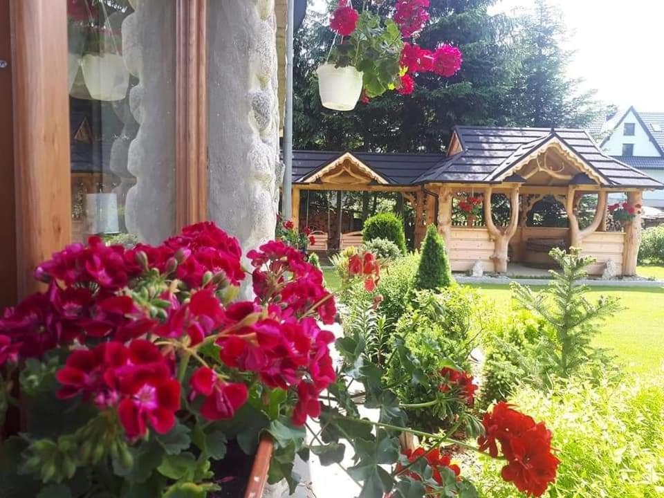 Magurskie Bywanie Witów Exterior foto