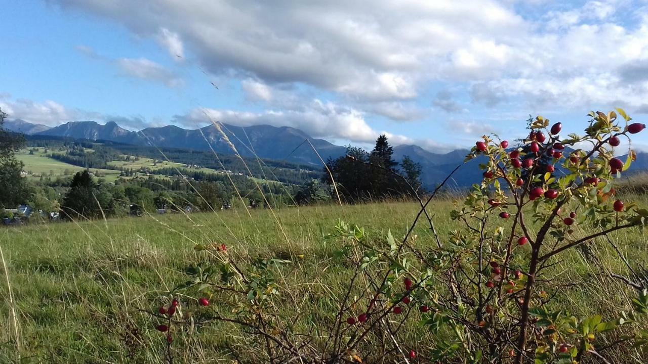 Magurskie Bywanie Witów Exterior foto